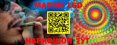 винт Тара