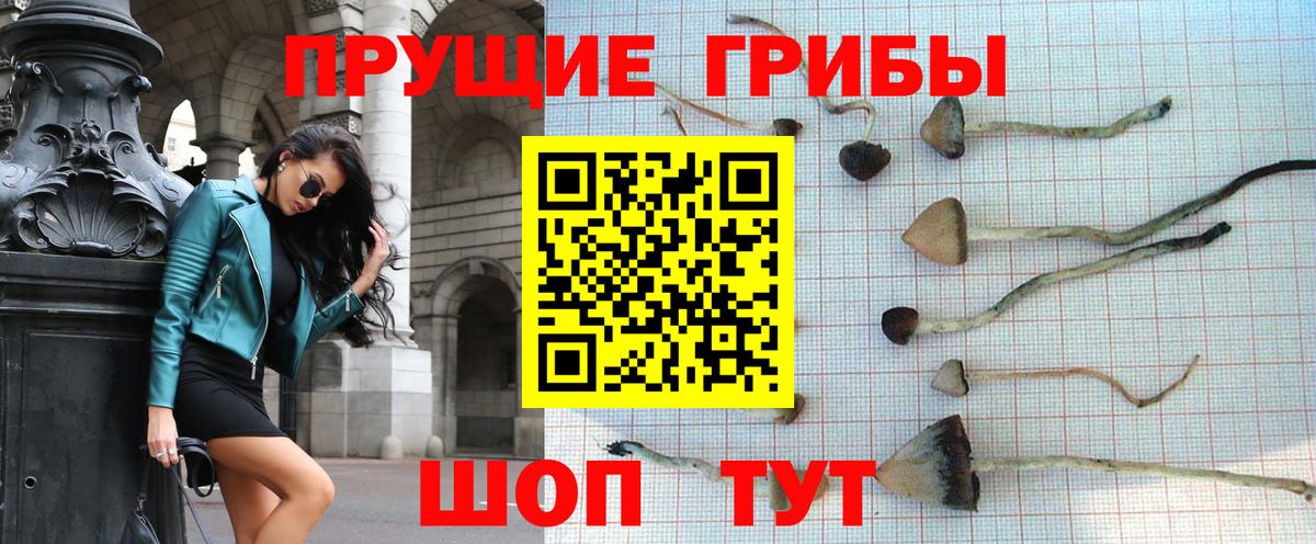 Псилоцибиновые грибы ЛСД  Вход с VPN  Псилоцибиновые грибы MAGIC MUSHROOMS  Приморско-Ахтарск 