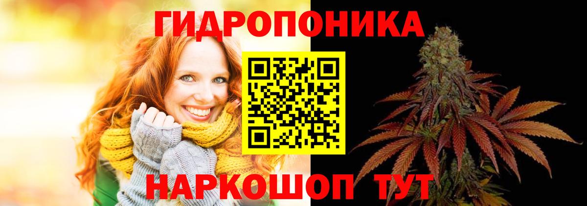 Марихуана сатива Приморско-Ахтарск